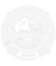 Oakland Tree Service